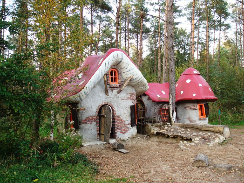 Дом гномов в лесу