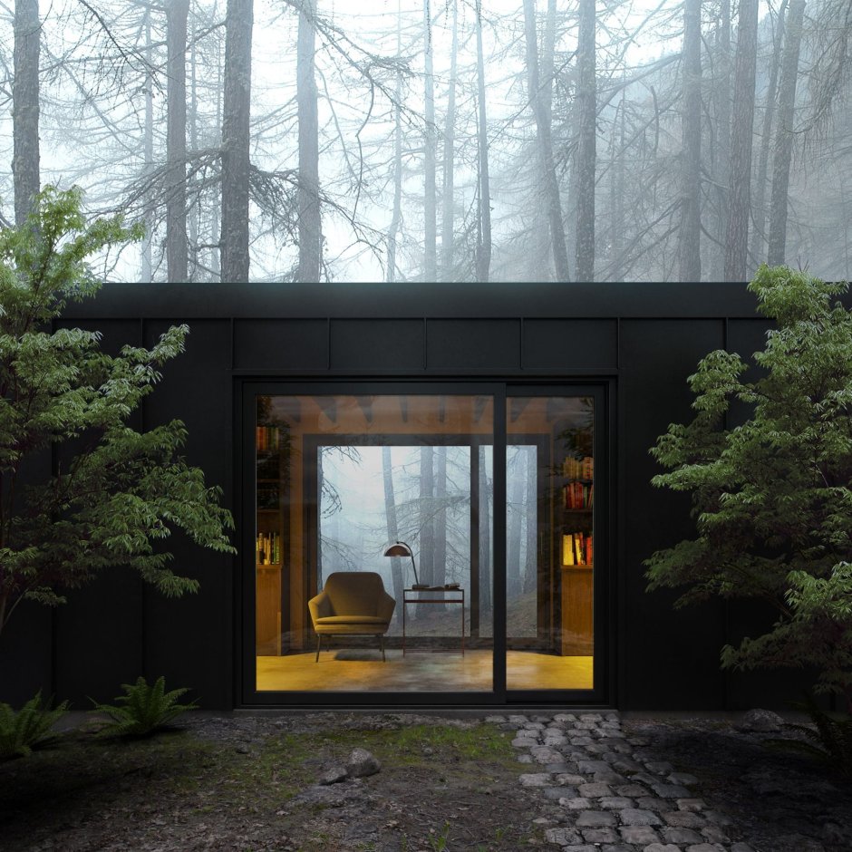 Черный дом в лесу (44 фото)