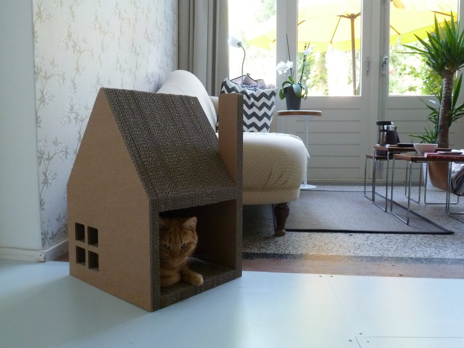 Кошкин дом из коробки