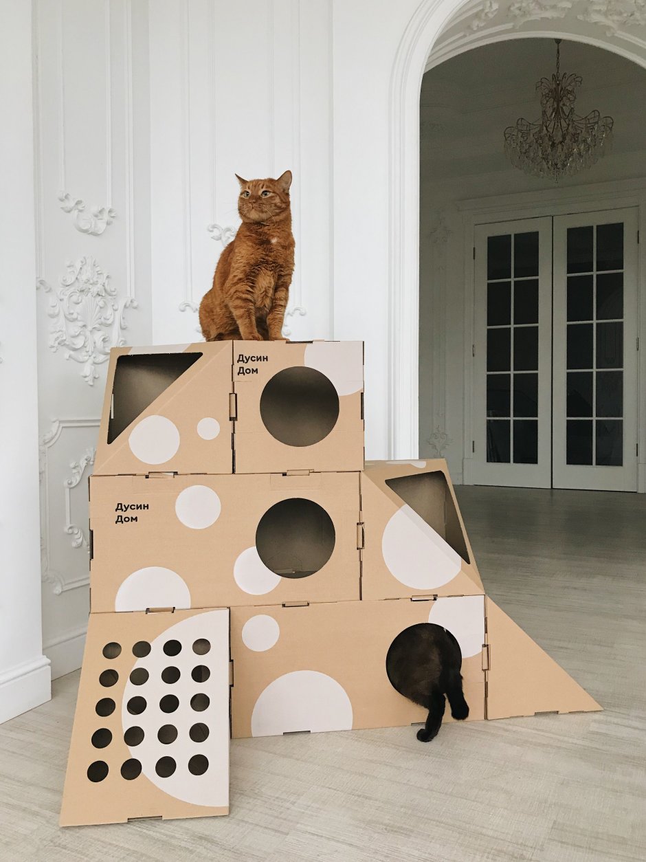 Домик для кошки из подручных материалов