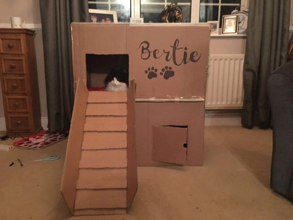 Домик для кошки из коробки своими руками