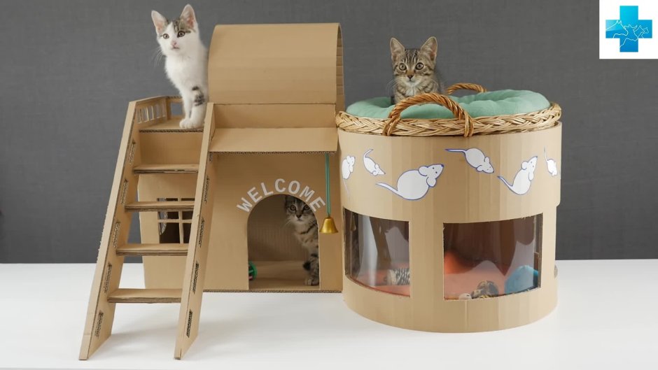Домики для кошек из коробок