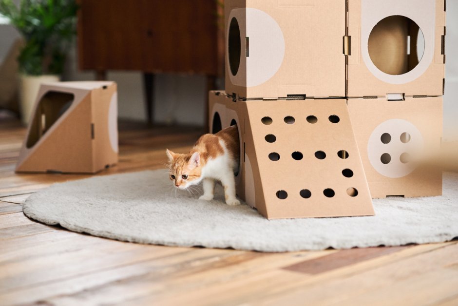 Модульный дом для кошек из картона