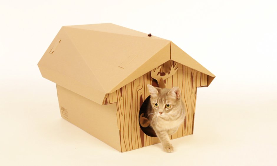 Домик для котят из картона