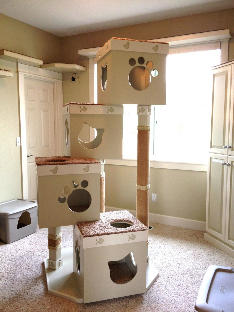 Креативные домики для кошек