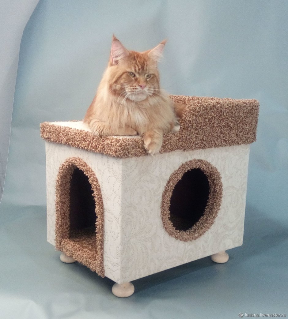 Самый большой домик для кошки