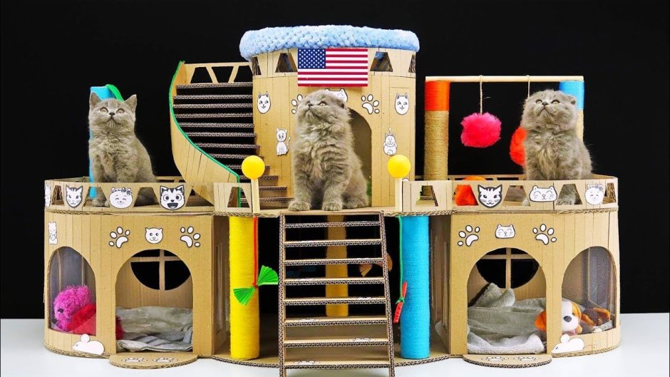 Дом для кошки из картонной коробки