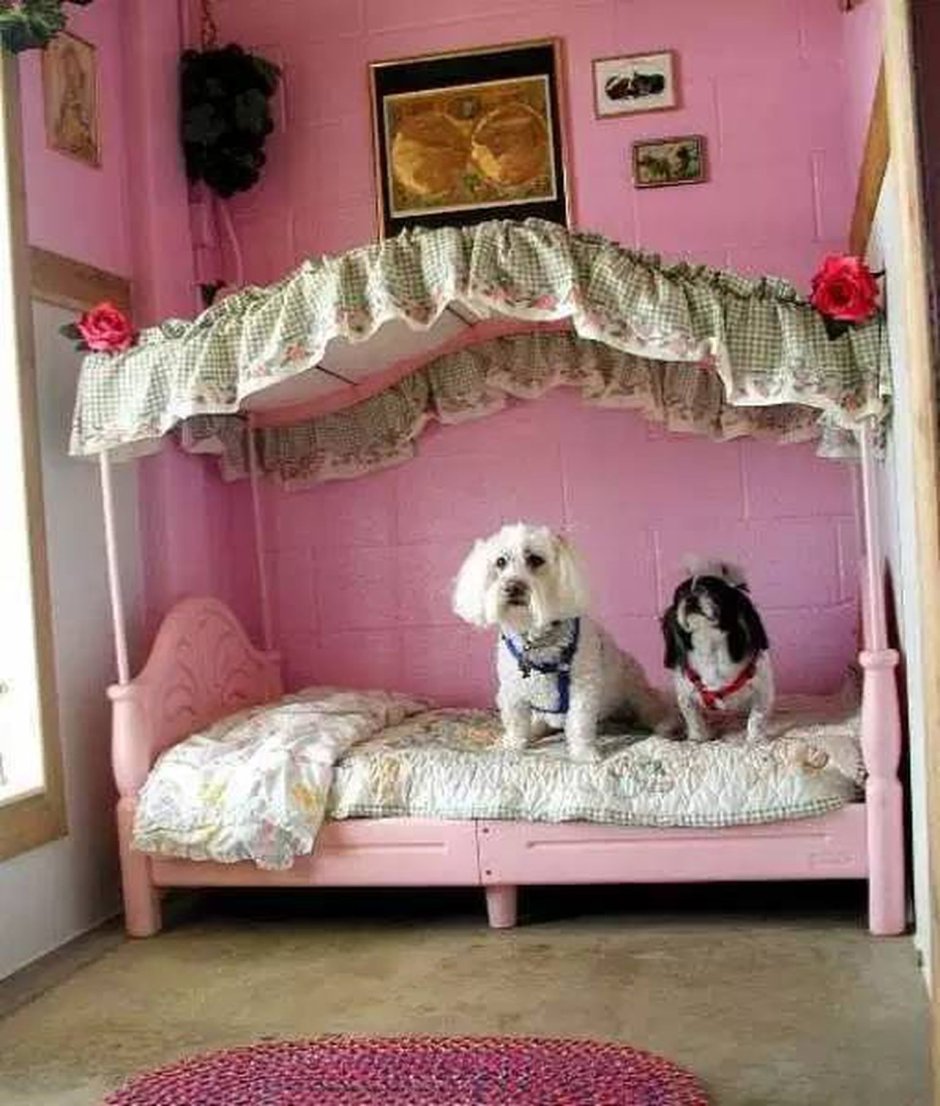Спальня для собаки