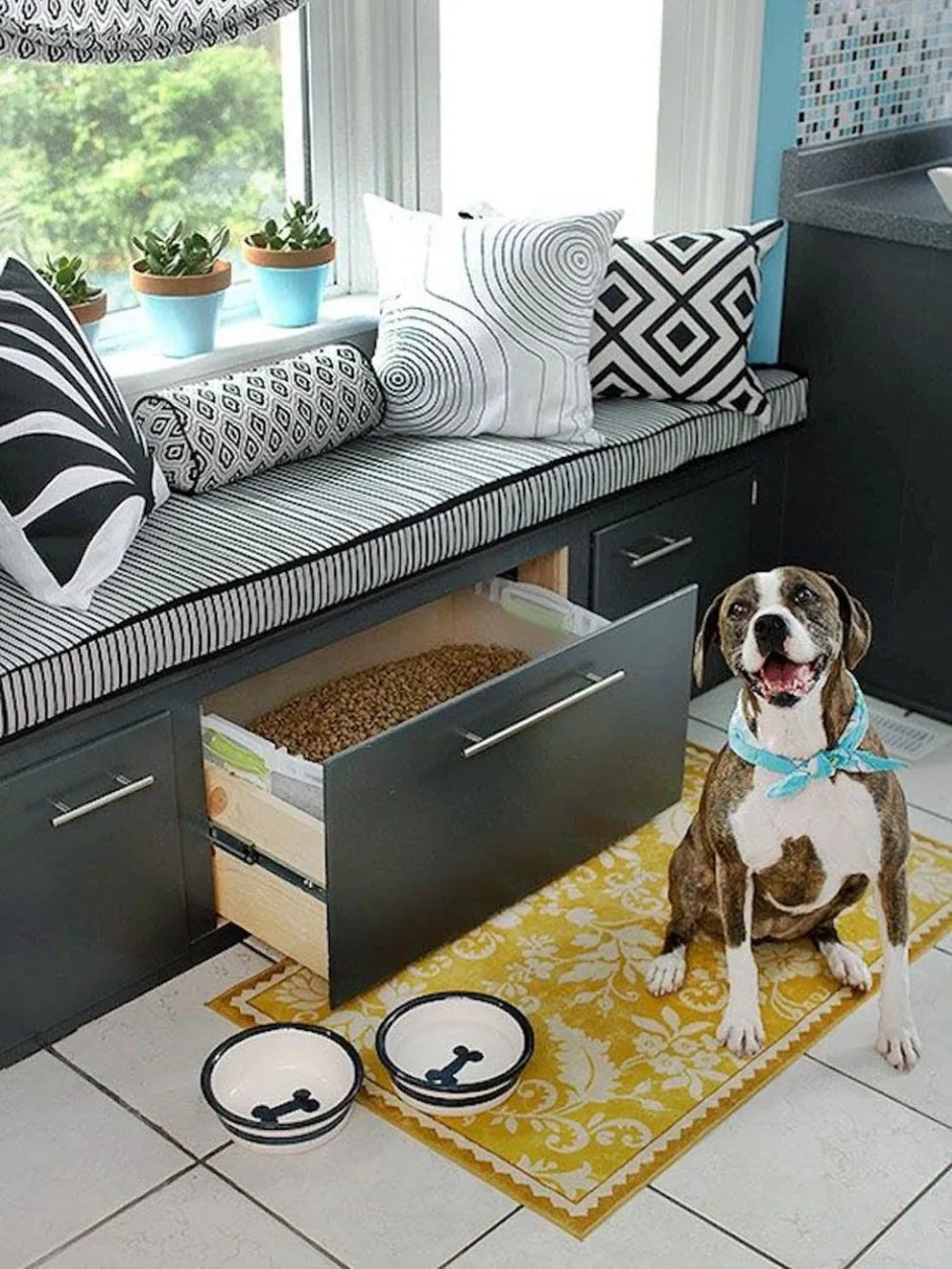 Собака на кухне ящики