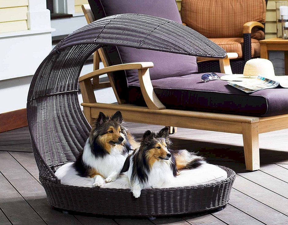 Необычные кровати для собак