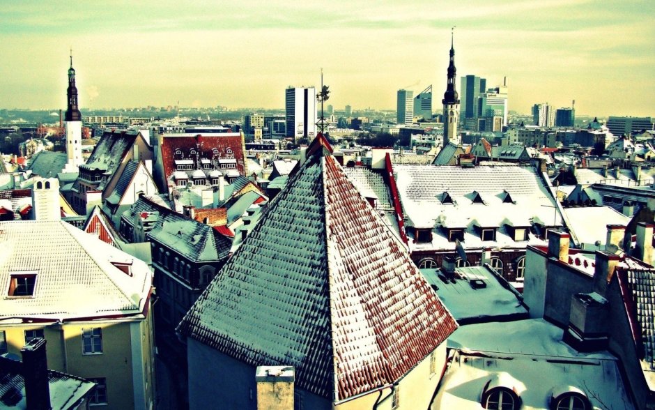 Вид с крыши школы