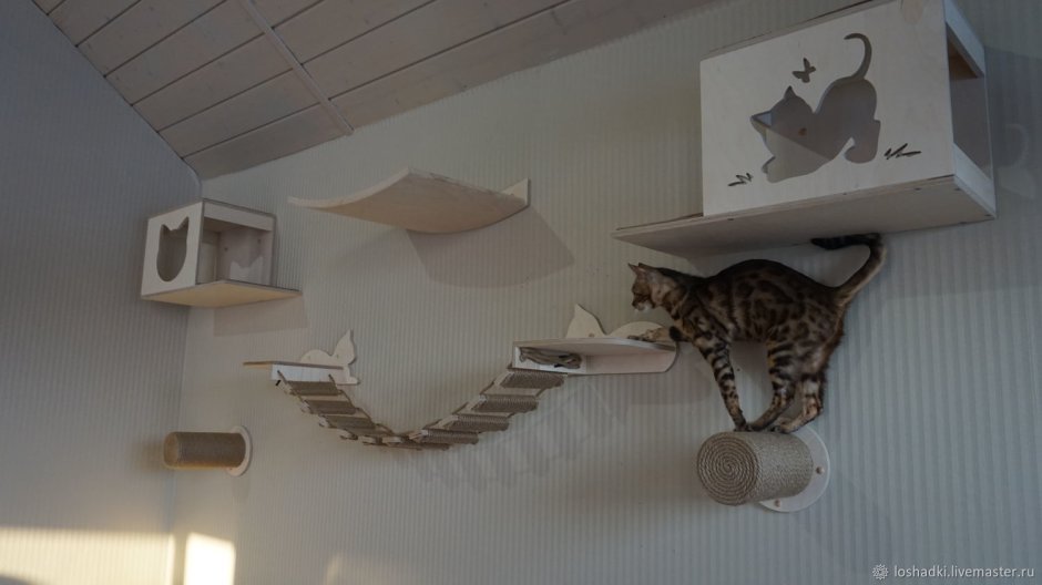 Домик для кошки на стене