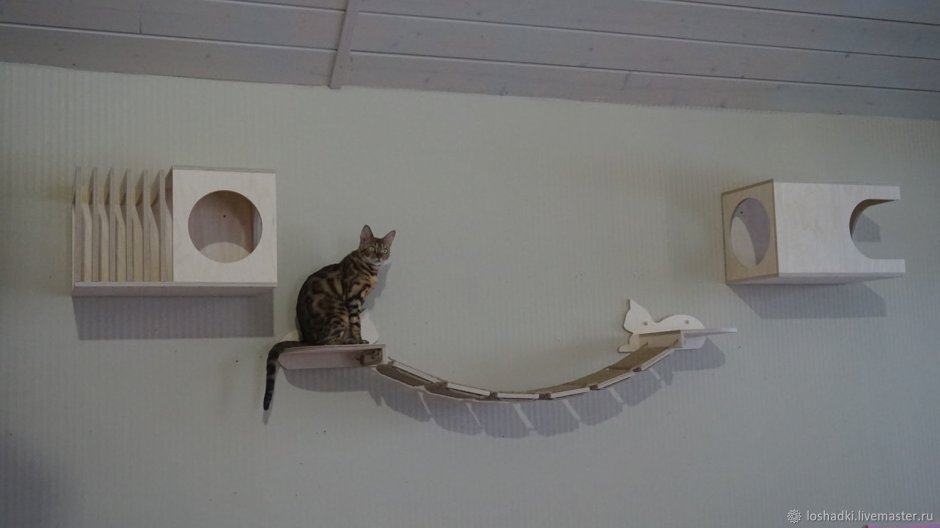 Настенные модули для кошек