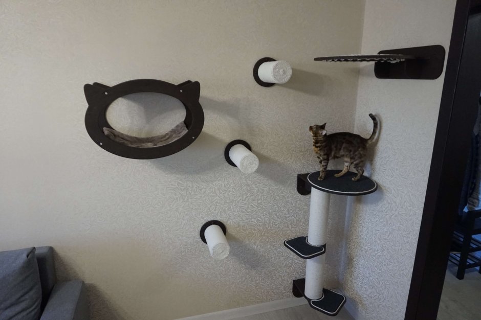 Настенный комплекс для кота