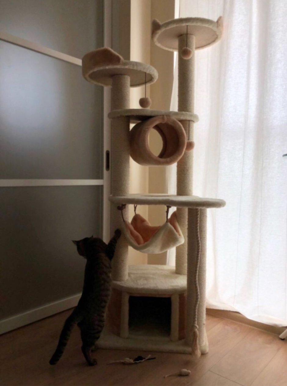 Игровой комплекс для кошек в интерьере