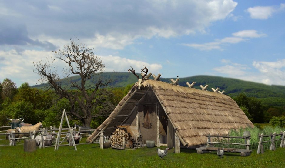 Комната в стиле викингов