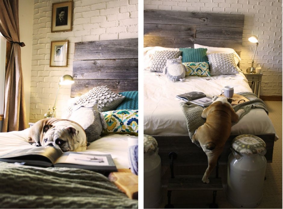 Уютные комнаты для собак