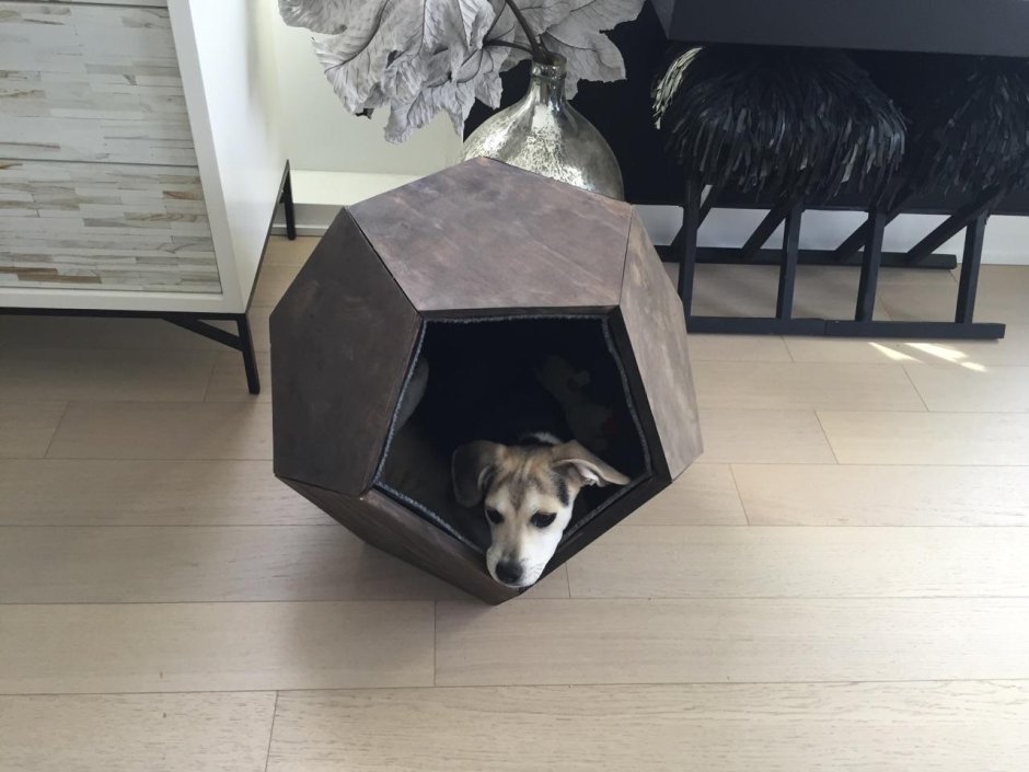 Дизайнерские будки для собак для квартиры