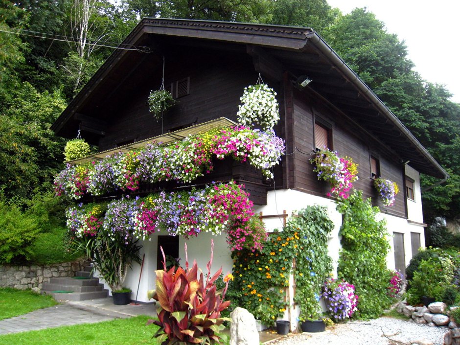 Палисадники у домов в Германии