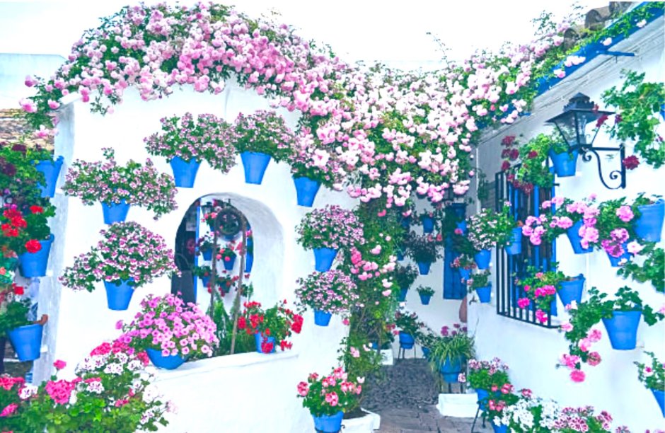 Круглый дом утопающий в цветах фото