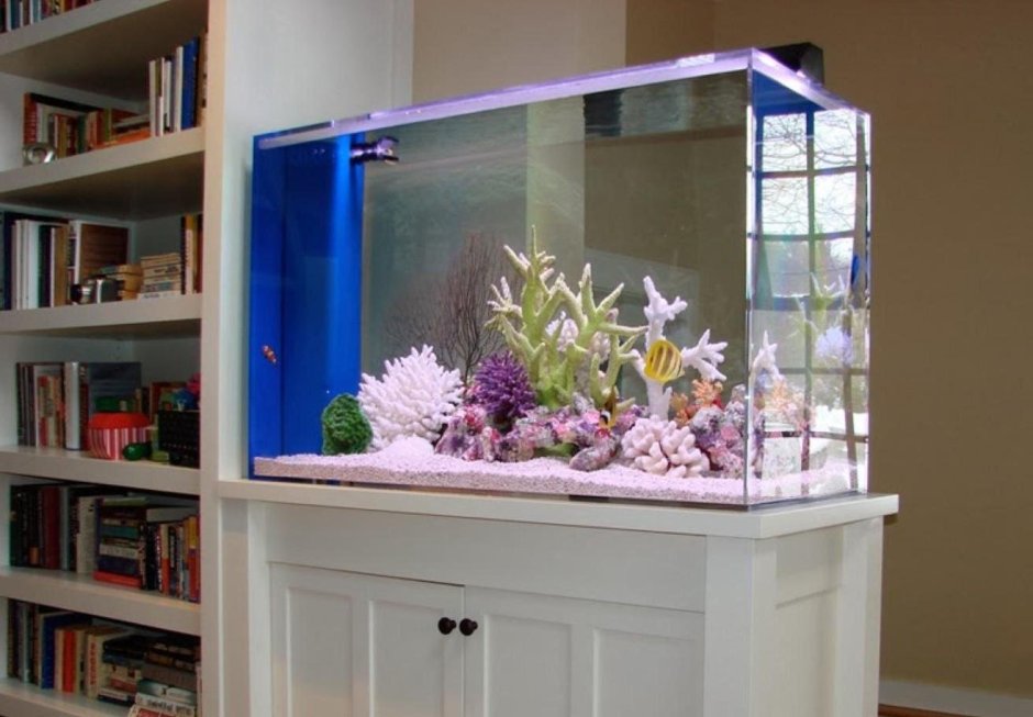 Небольшой аквариум в интерьере квартиры