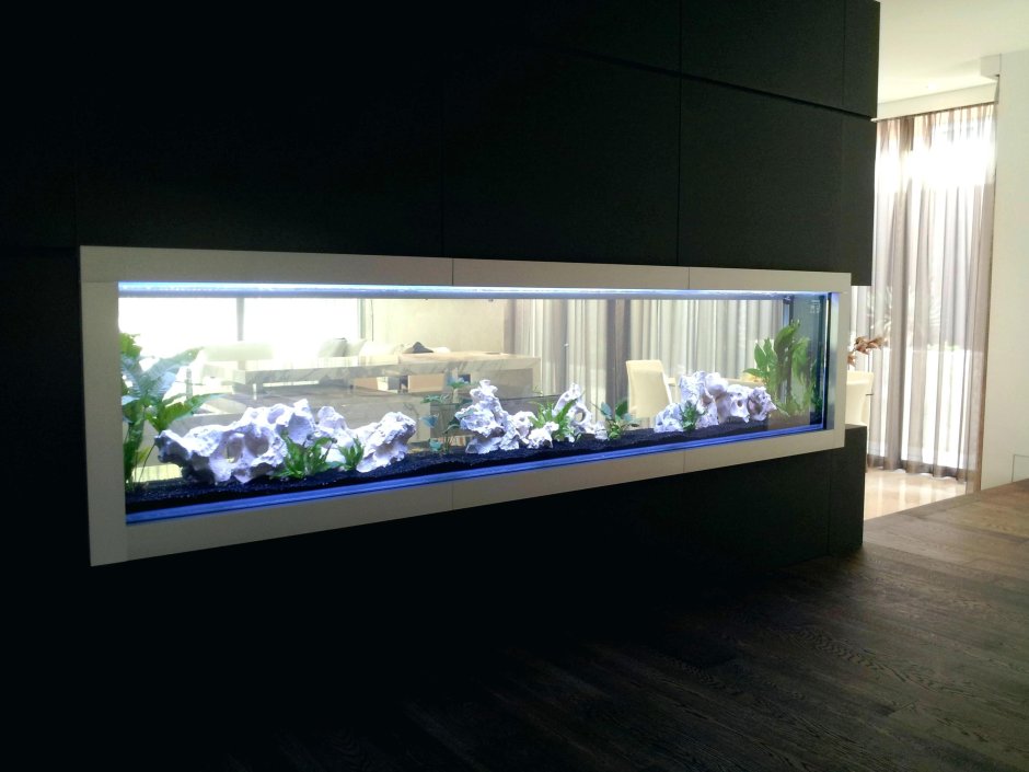 Плоский аквариум в интерьере