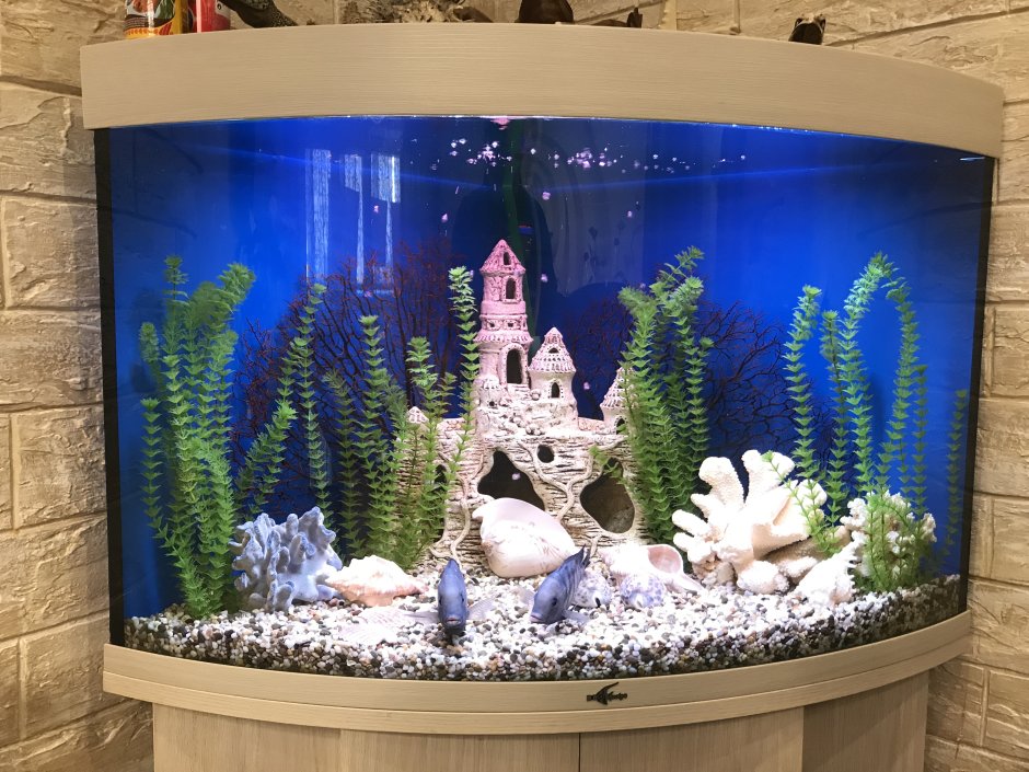 Декоративный встроенный аквариум