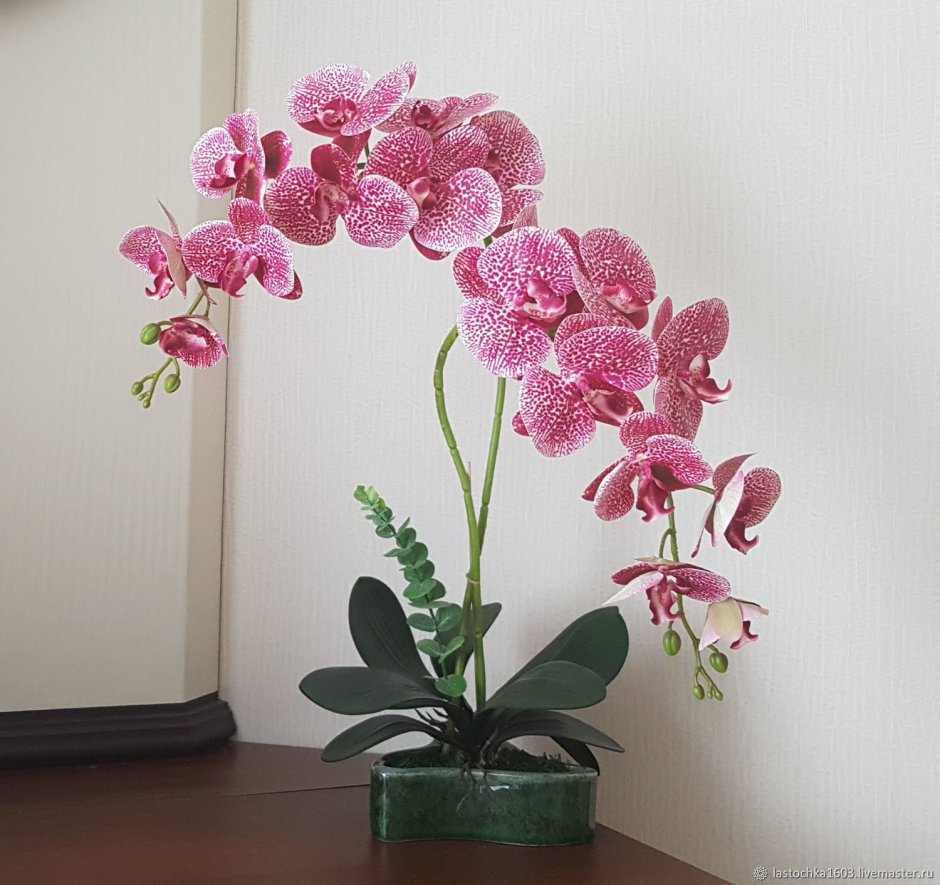 Композиции из живых орхидей