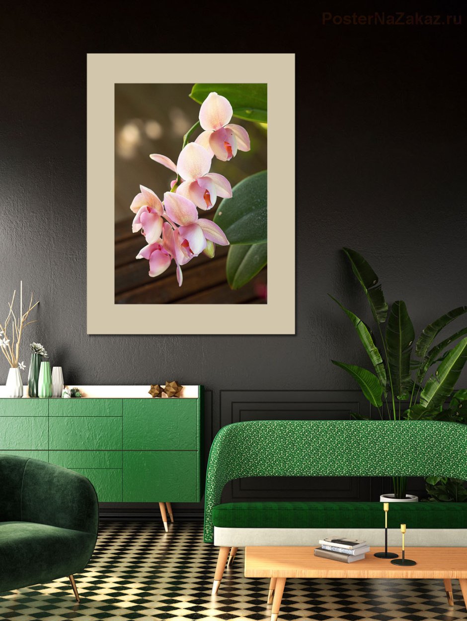 Постеры для интерьера орхидеи