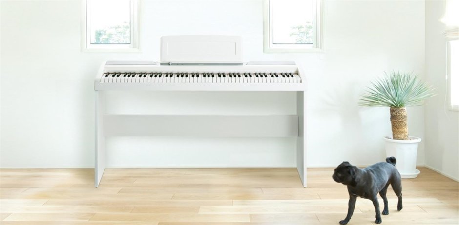 Цифровое пианино Korg SP-170s WH