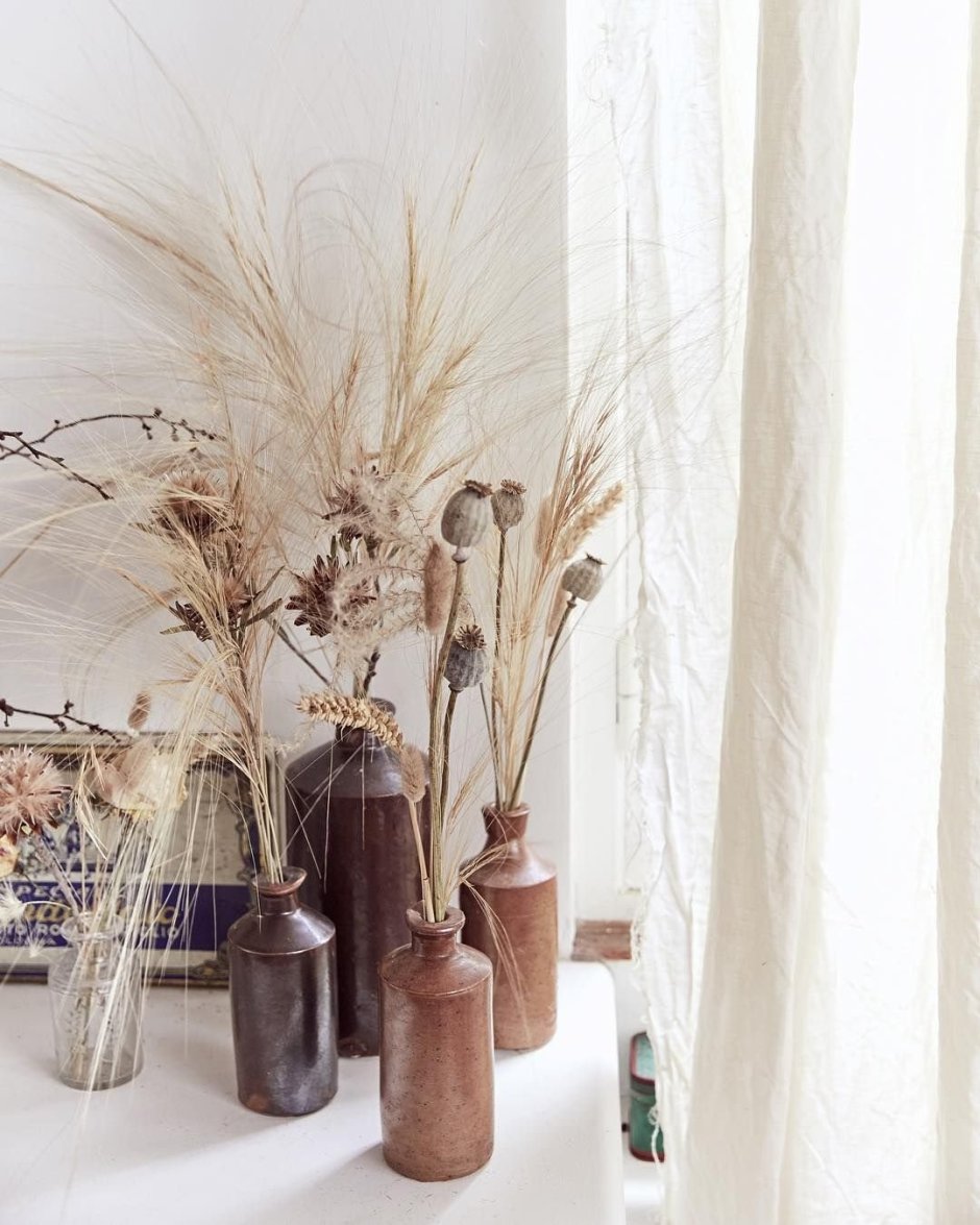 Сухоцветы HM Zara Home