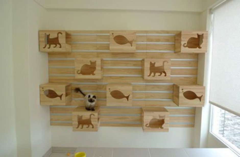 Кошачьи стенки на стене