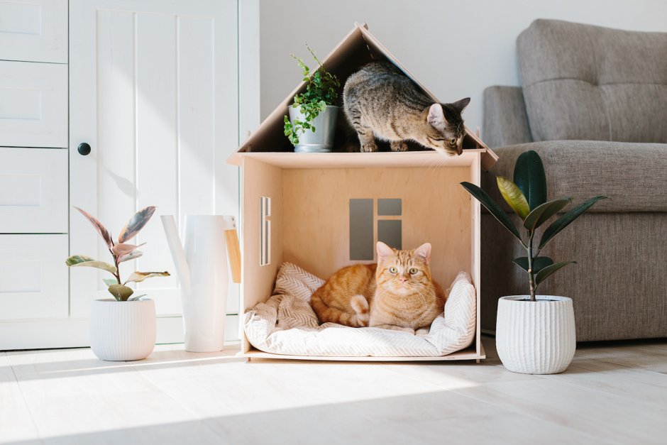 Уютный домик для кота