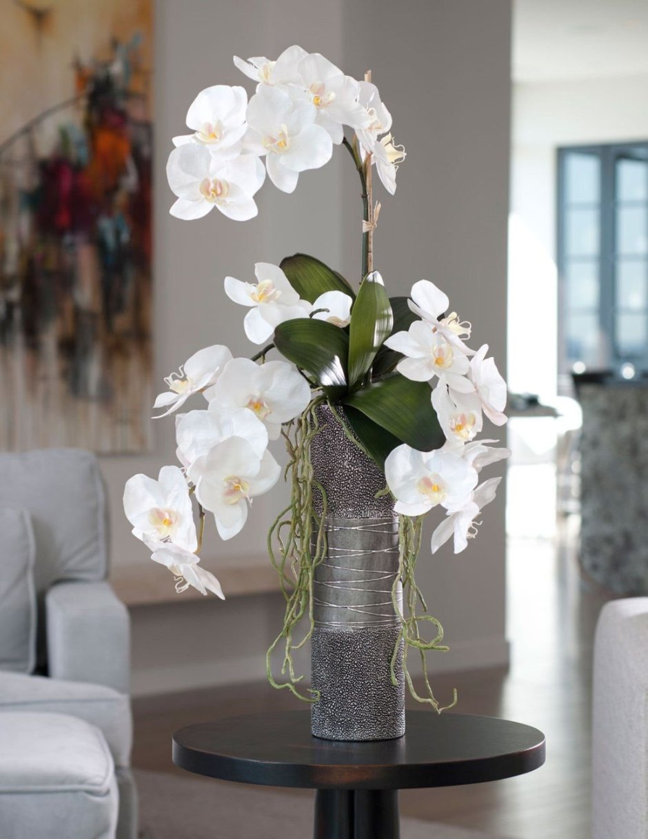 Орхидея фаленопсис флористические