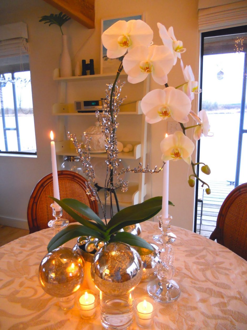 Орхидеи в интерьере дома
