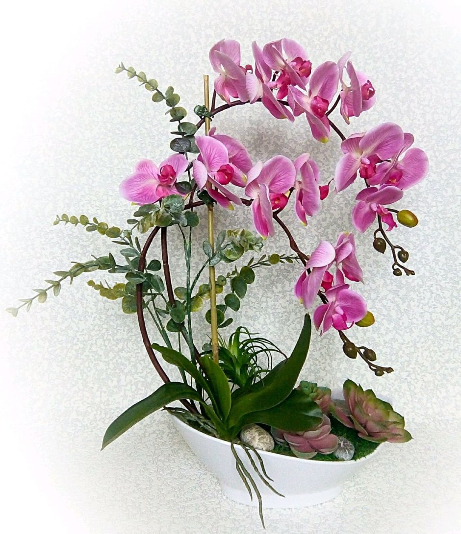 Mellowstar312271 Орхидея