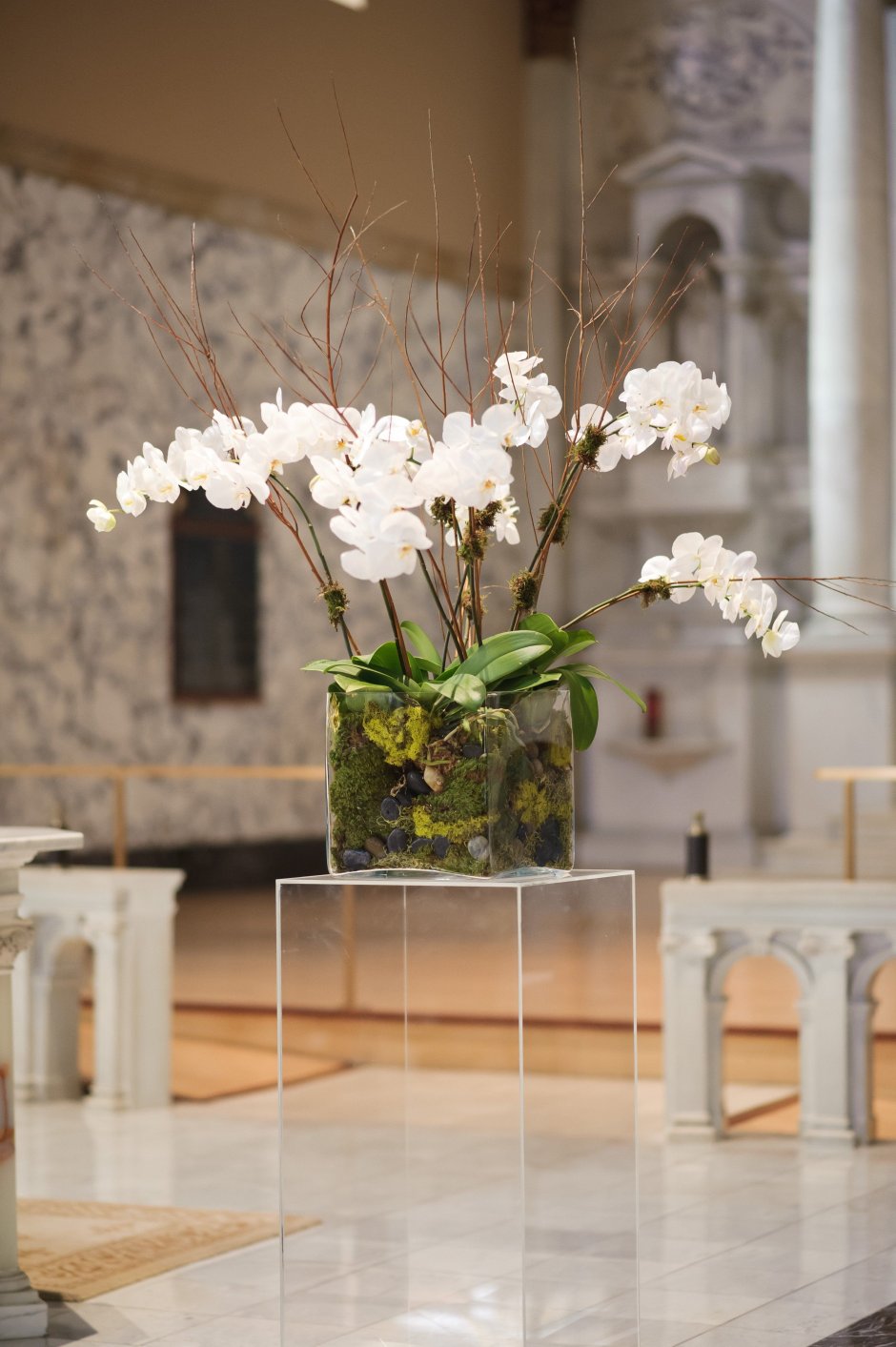 Орхидеи в декоре интерьера