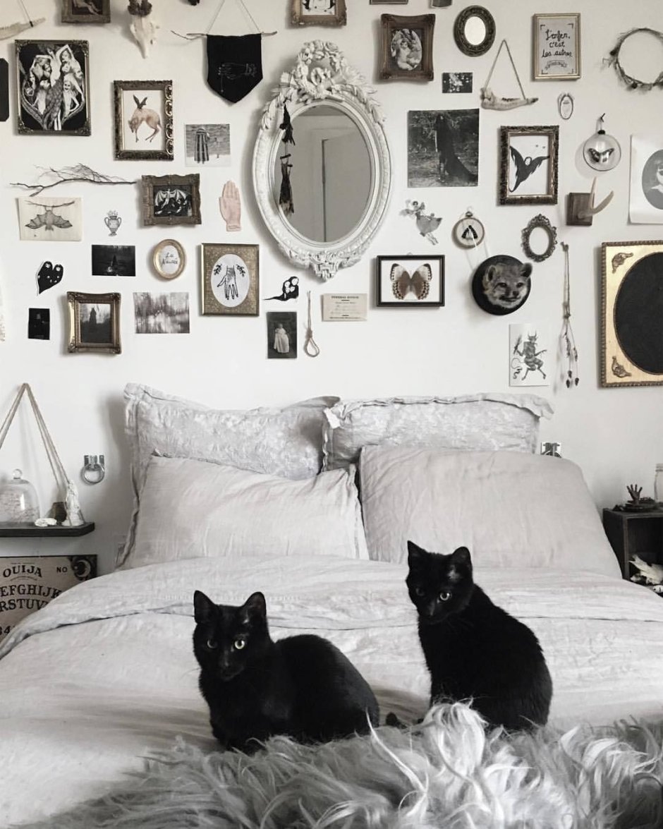 Комната в стиле кошек
