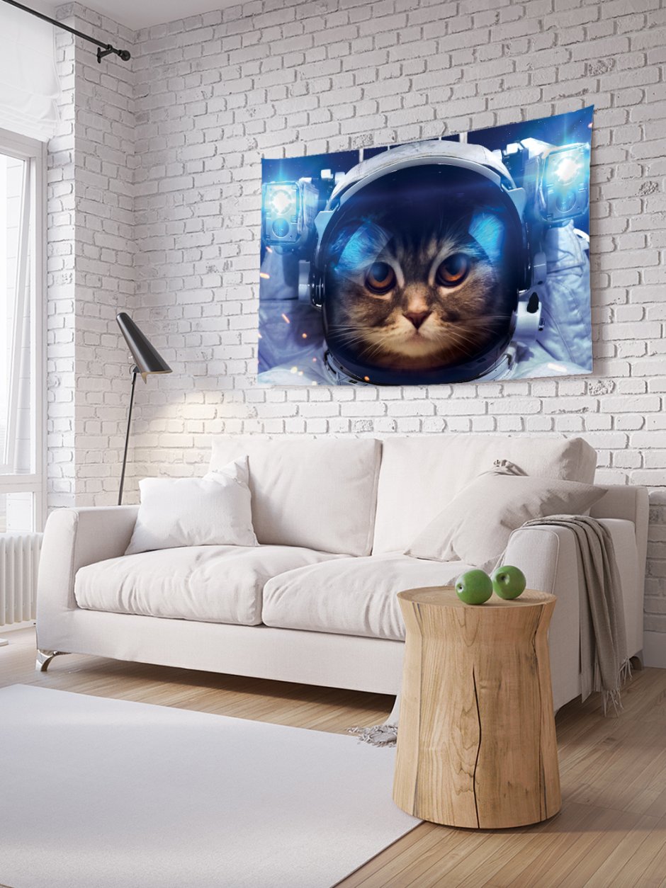 Постеры с котиками на стену для интерьера
