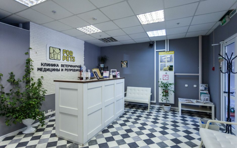 Ветеринарная клиника Центральная Краснодар