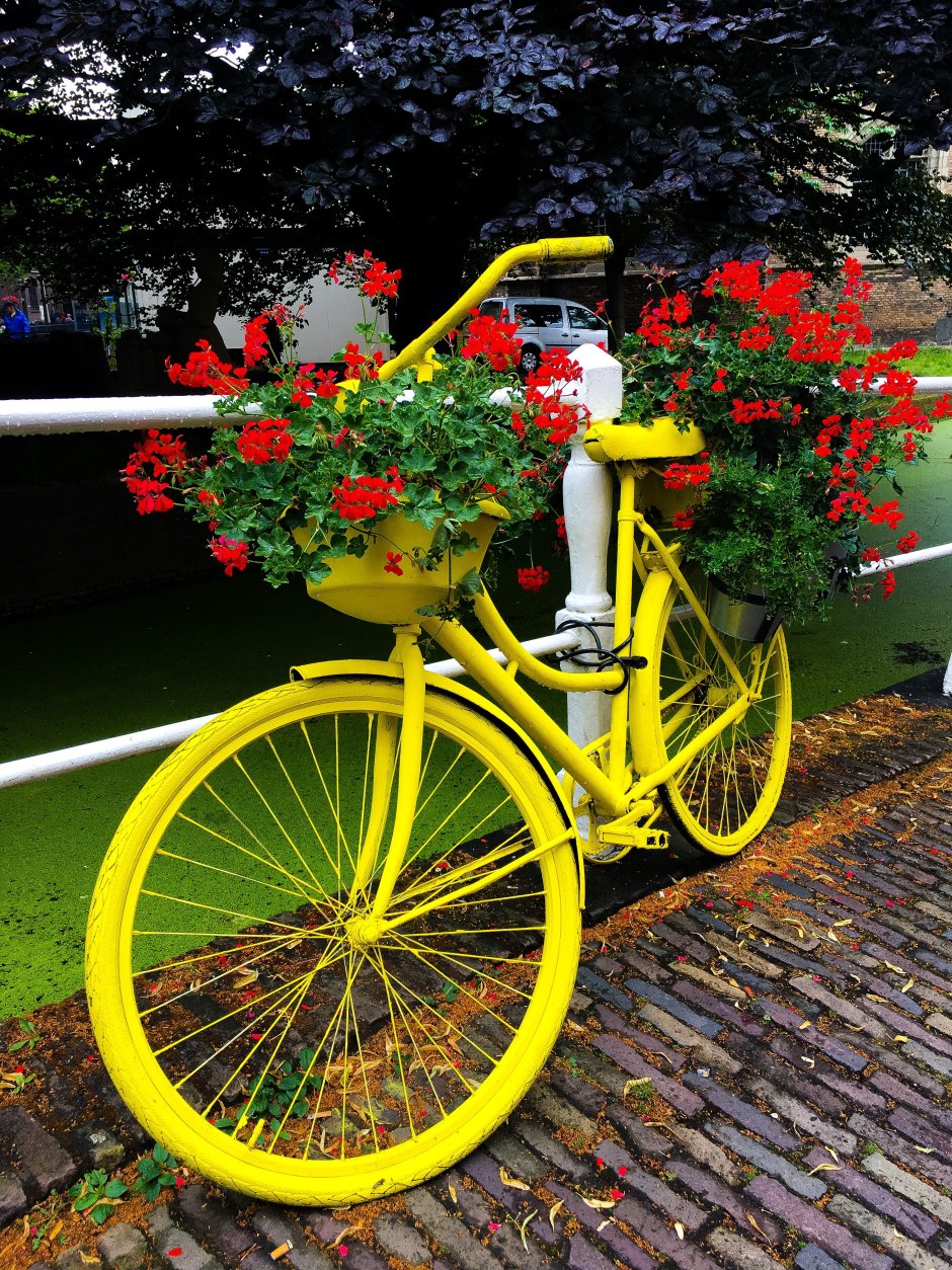 Велосипед украшенный цветами