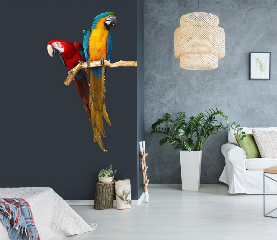 Постеры с попугаями в интерьере