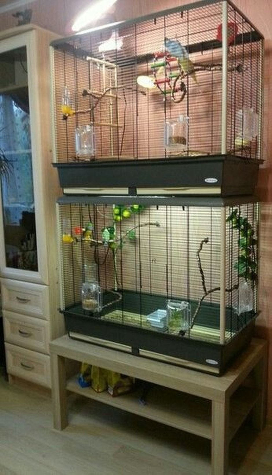 Клетка витрина для попугаев