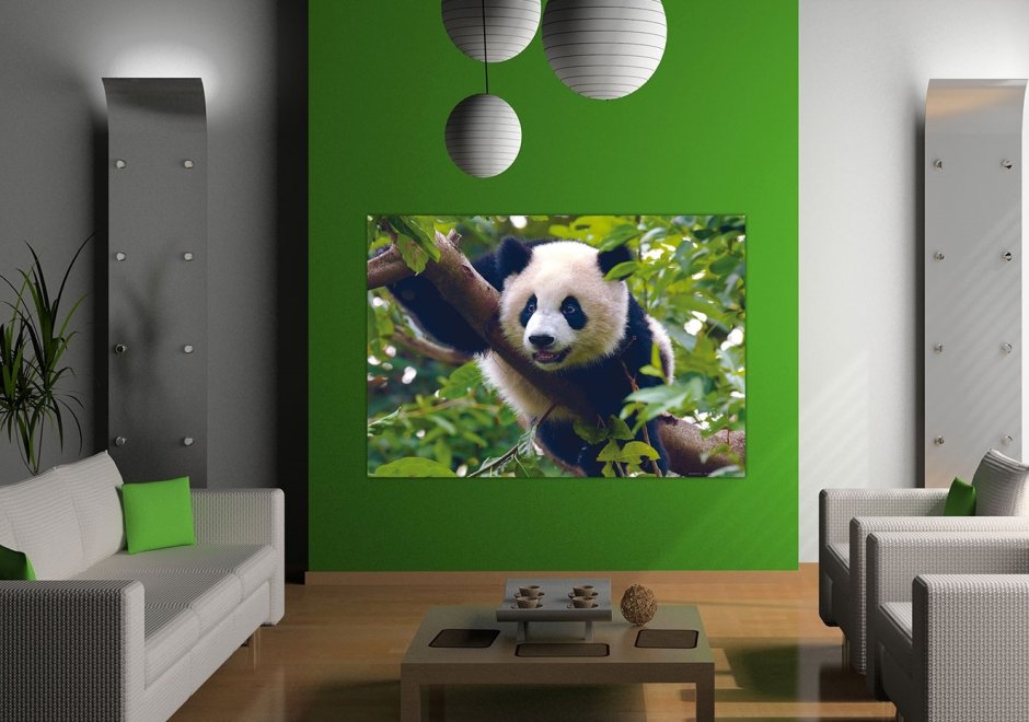 Фотообои с пандой на стену