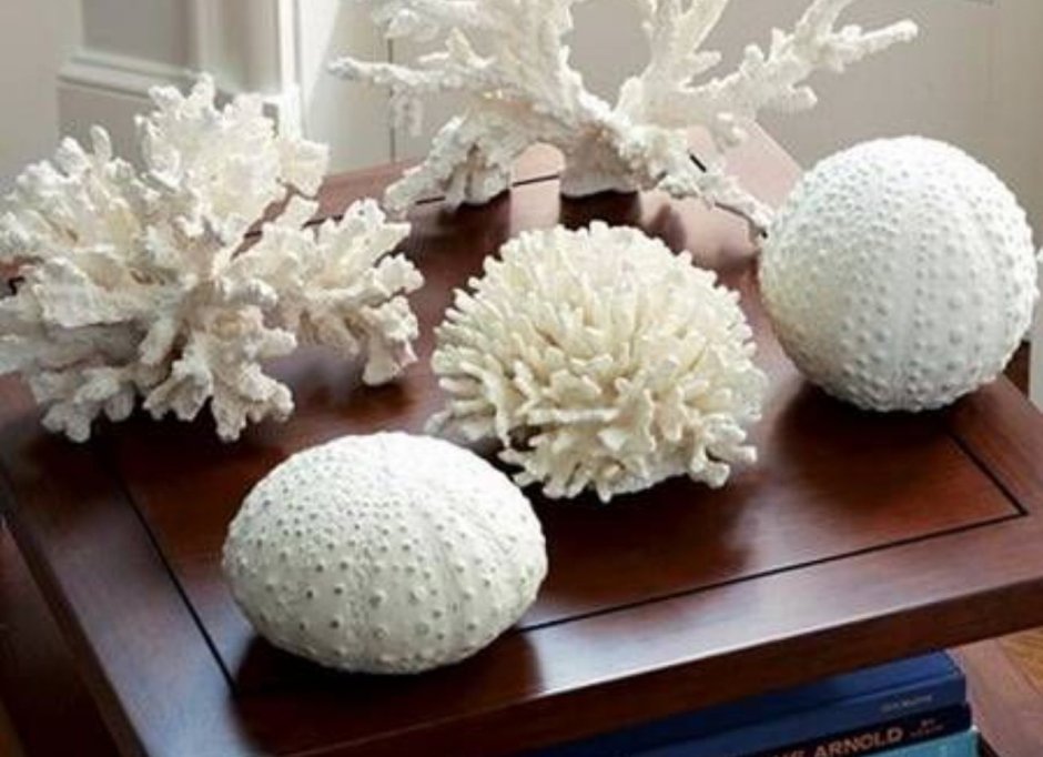 Декоративный коралл для интерьера
