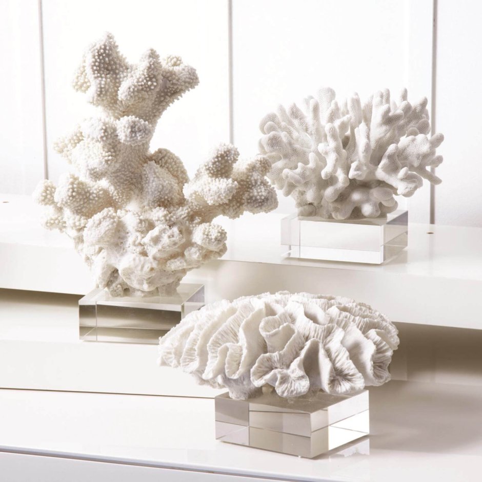 Декоративные кораллы для интерьера (45 фото)