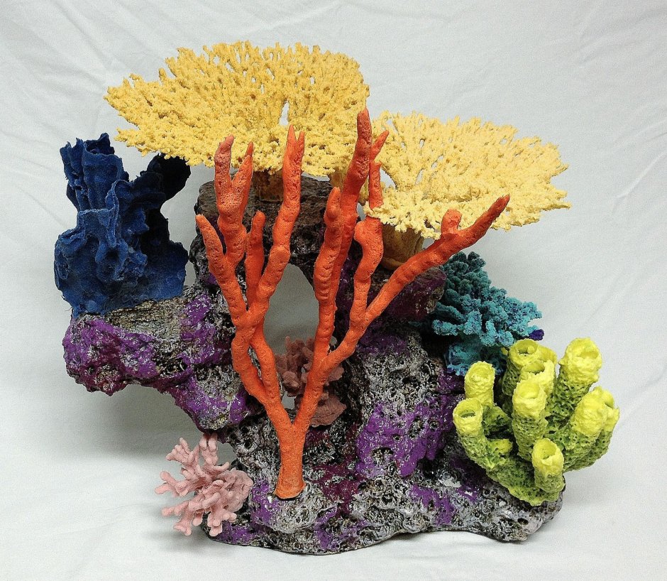 Кораллы в интерьере