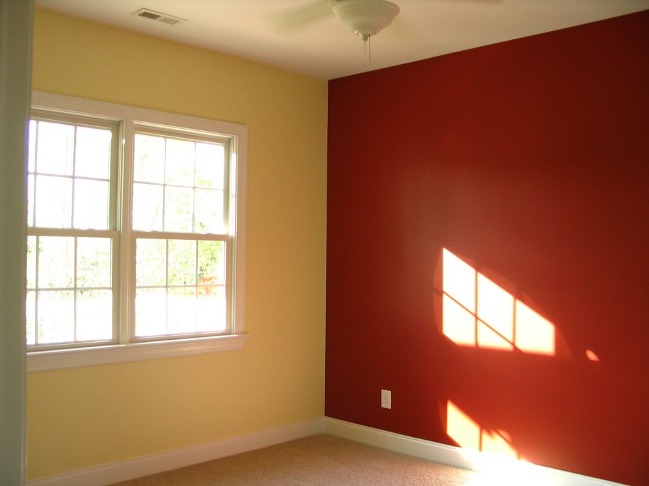 Цвет колера для стен в комнатах