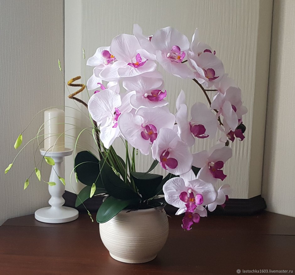 Орхидеи фаленопсис имитацию