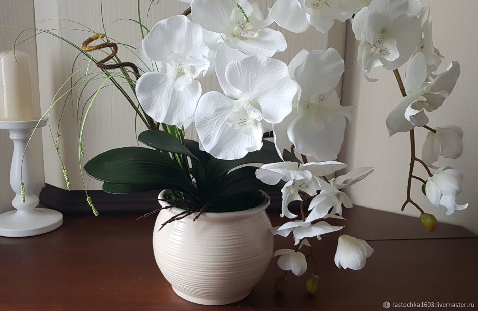 Орхидея белая136001cr